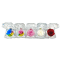 Real Preserved Rose Keepsake
