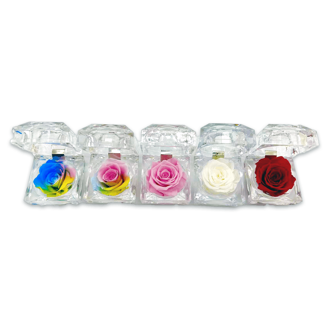 Real Preserved Rose Keepsake