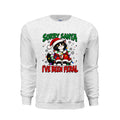 Sorry Santa I've Been Feral Cat Sweatshirt