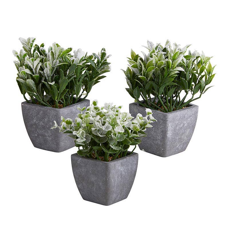 Plants In Pot, Set of 3