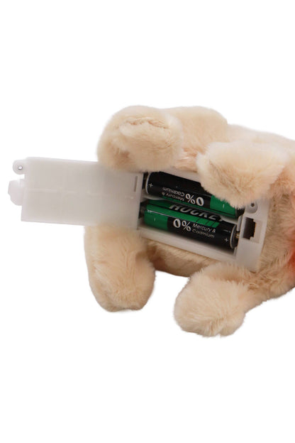 Fuzzy Walking Bunny Rabbit Sound Toy
