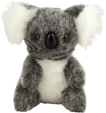 Hug a Koala Kit