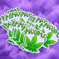 "Leaf It to Max" Sticker
