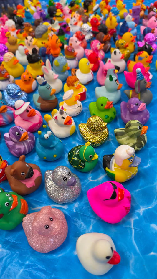 Enchanted Pond (Duckies!)