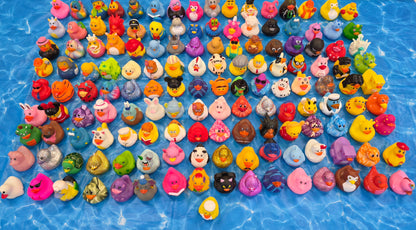 Enchanted Pond (Duckies!)