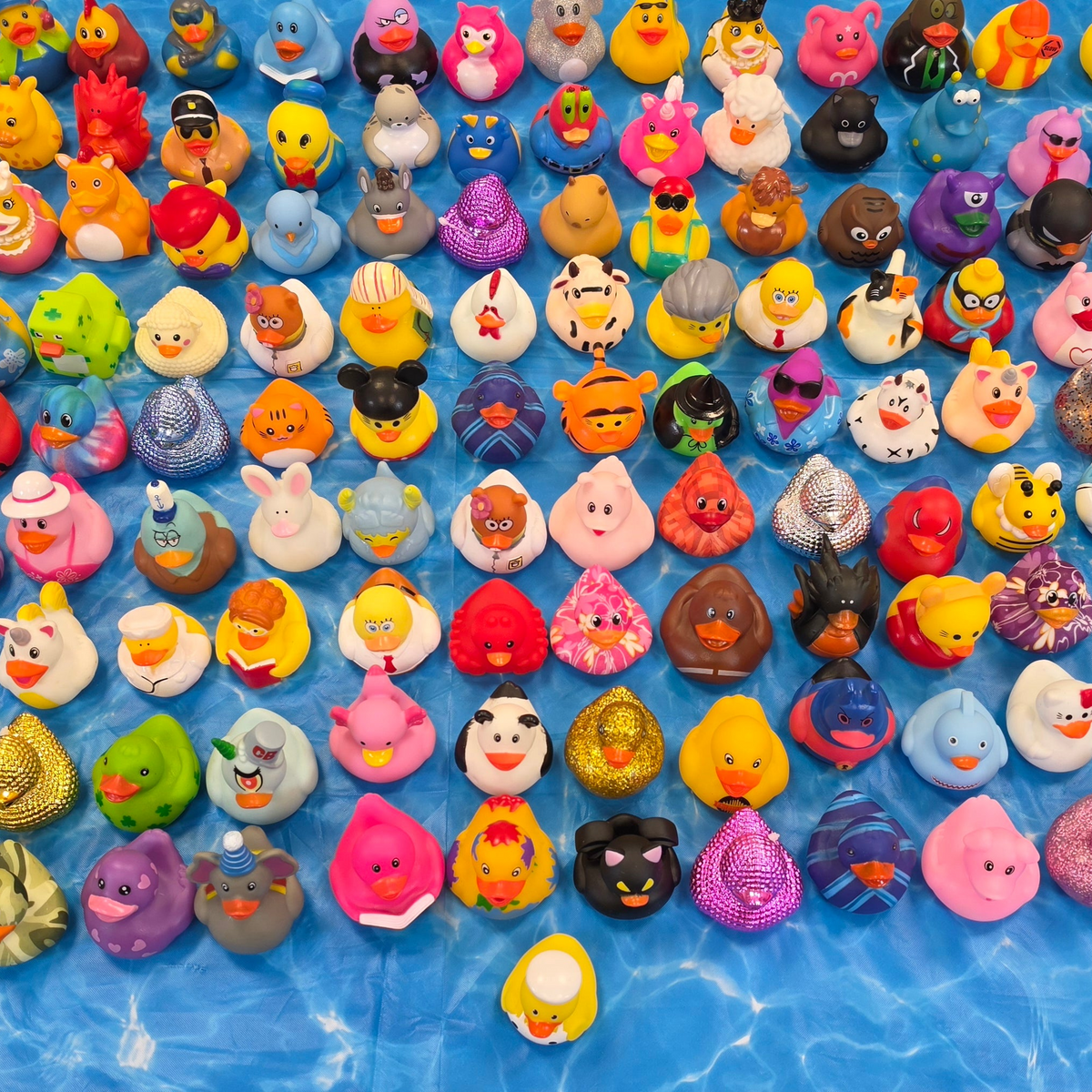 Enchanted Pond (Duckies!)